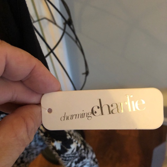 ✅ 3 for $15 ✅ NWT Charming Charlie dress - Picture 4 of 5